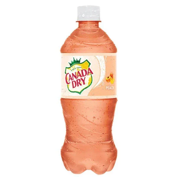 CANADA DRY 591ml - Image 5